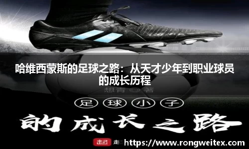 bsports必一体育